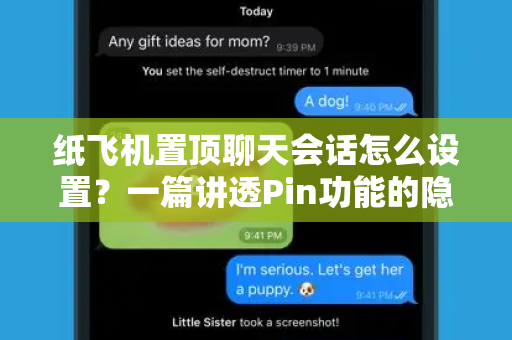 纸飞机置顶聊天会话怎么设置？一篇讲透Pin功能的隐藏玩法